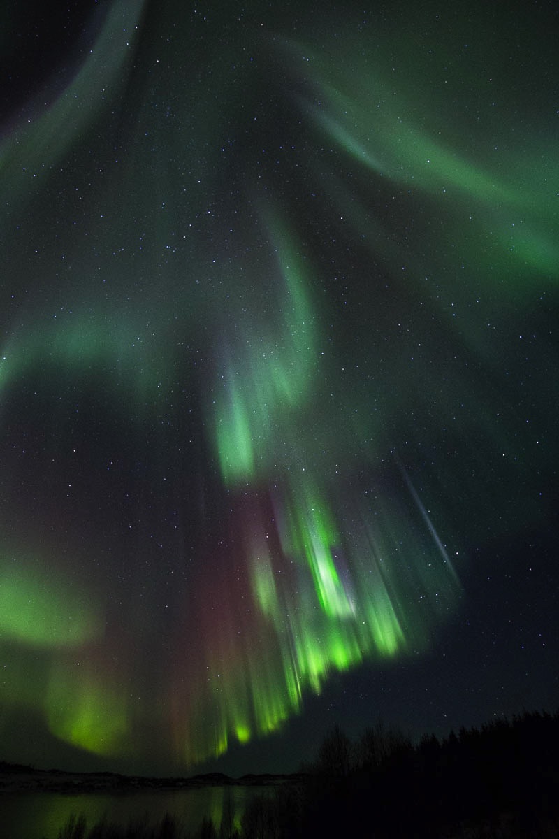 lofoten aurora northern lights